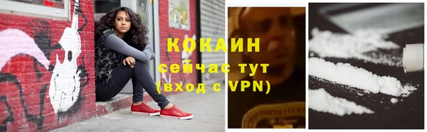 сатива Лихославль